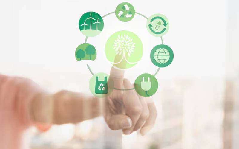 Implantació de l'economia circular a les organitzacions