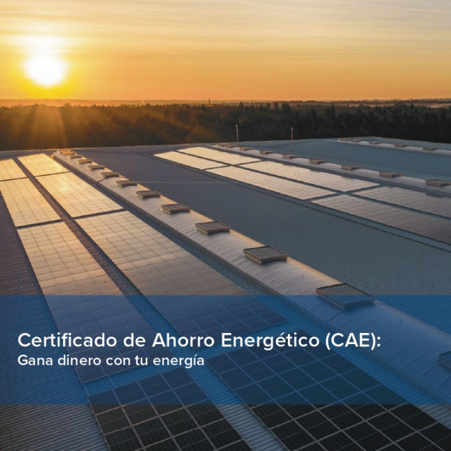 Grupo Nieves busca empresas que quieran vender Certificados de Ahorro Energético