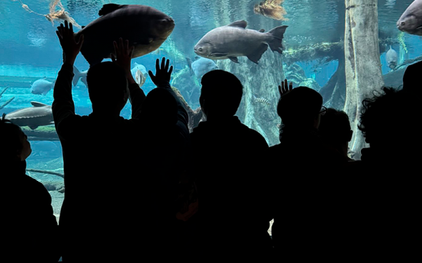 Asproseat realitza una sortida al Cosmocaixa amb els grups de secundària del Centre Pilot