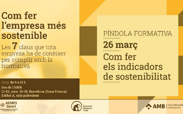 Img Com fer els indicadors de sostenibilitat: Píndola formativa 48