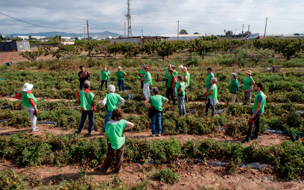 Espigoladors implementa una eina digital per millorar la gestió del voluntariat