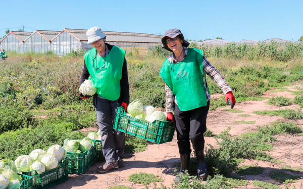 Espigoladors recibe el Premio Lluís Martí de Voluntariado al valor socioambiental 2025