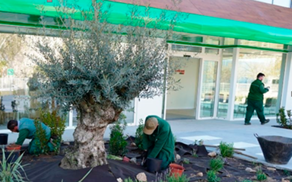 Fundació Portolà realitza un nou projecte de creació i manteniment de zones enjardinades