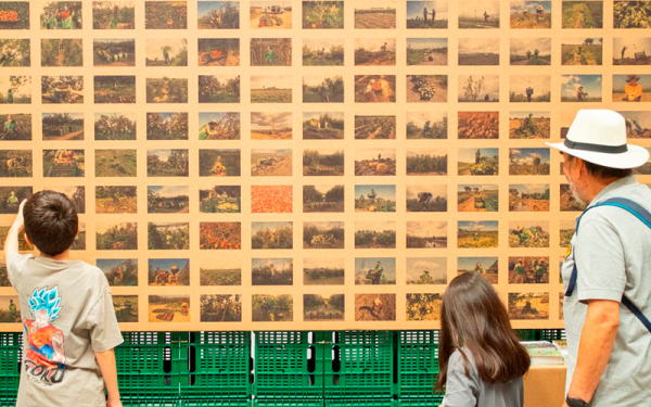 Més de 12.000 persones a Catalunya visiten l’exposició 'Espigolar per transformar'