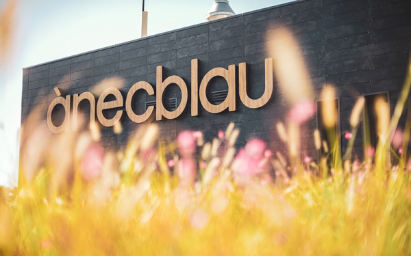 Miles de personas participaron en la celebración del 20º aniversario de ànecblau