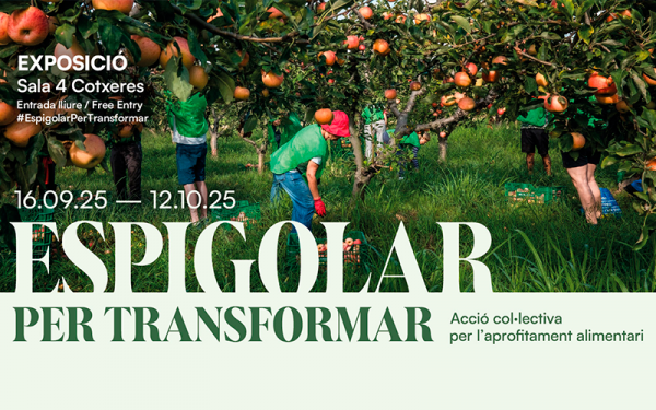 Viu una experiència única a l’exposició 'Espigolar per transformar', d'Espigoladors